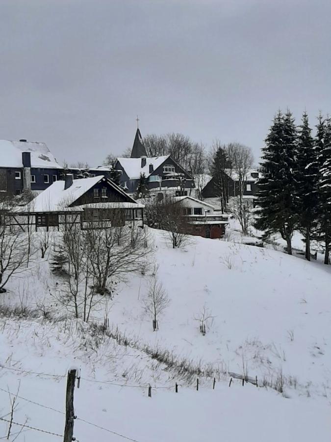 Villa Skylo Winterberg Exterior foto