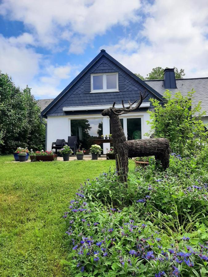 Villa Skylo Winterberg Exterior foto