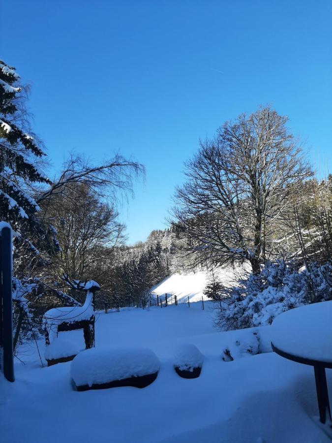 Villa Skylo Winterberg Exterior foto