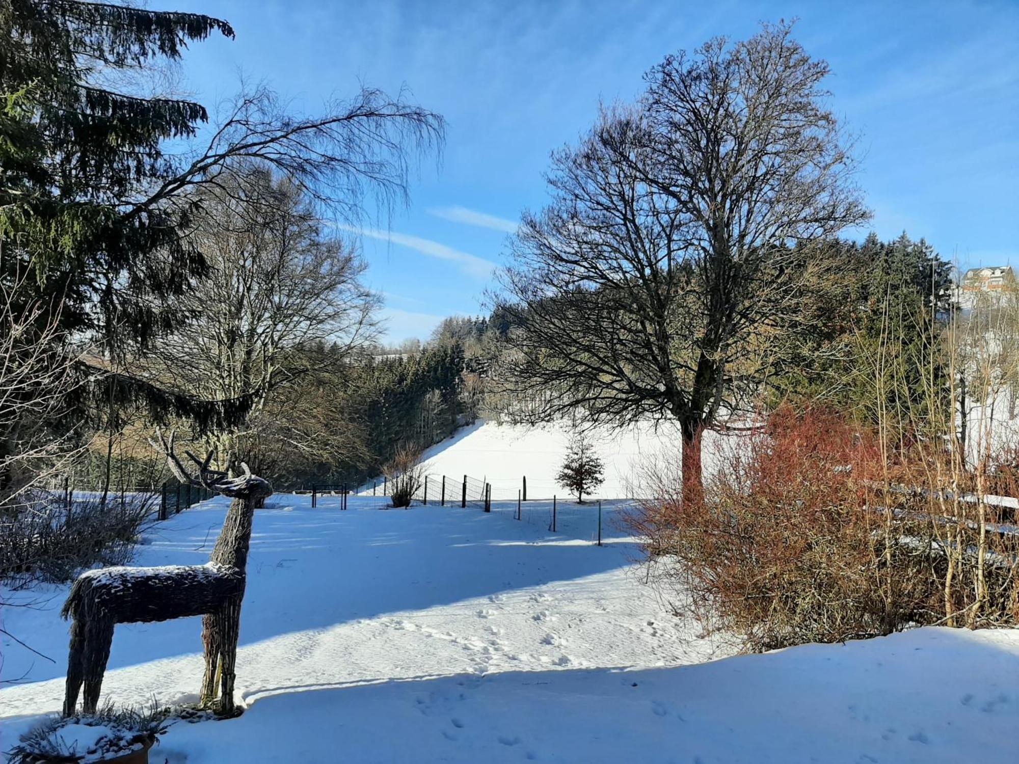 Villa Skylo Winterberg Zimmer foto